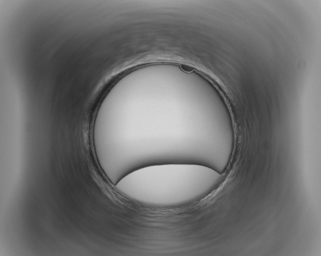 X0000116151499200911230941