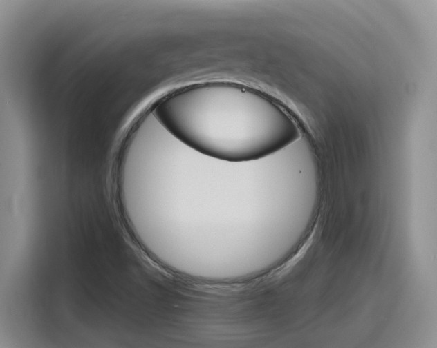 X0000116151502200911230941