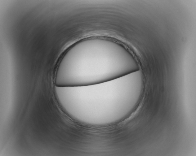 X0000116151505200911230941