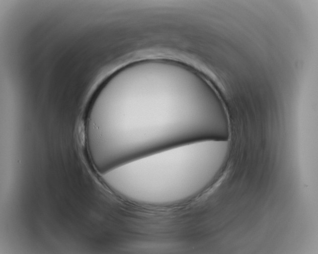 X0000116151509200911230941