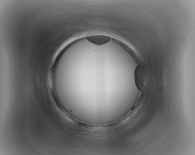 X0000116151510200911230941