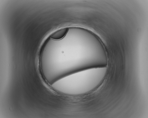 X0000116151511200911230941