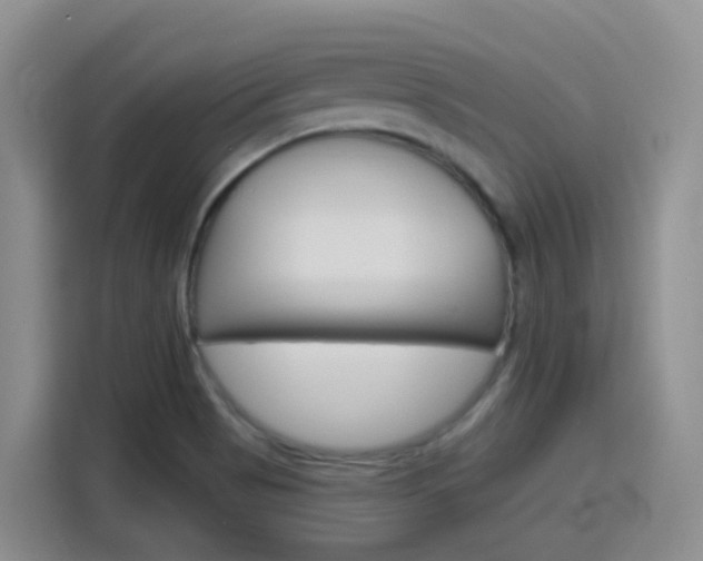 X0000116151513200911230941