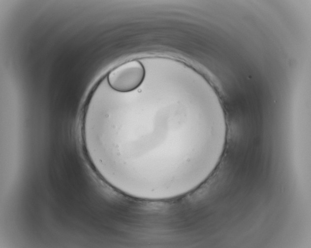 X0000116151514200911230941