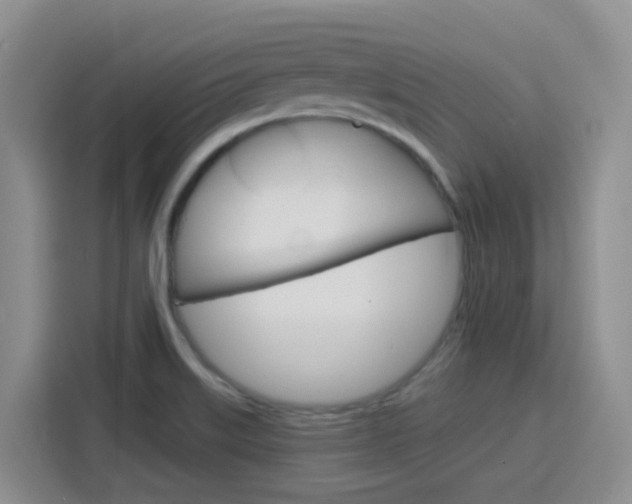 X0000116151515200911230941