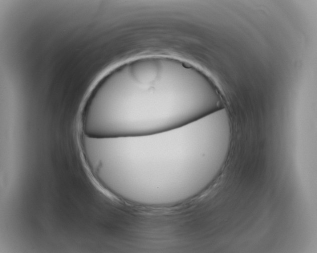 X0000116151519200911230941