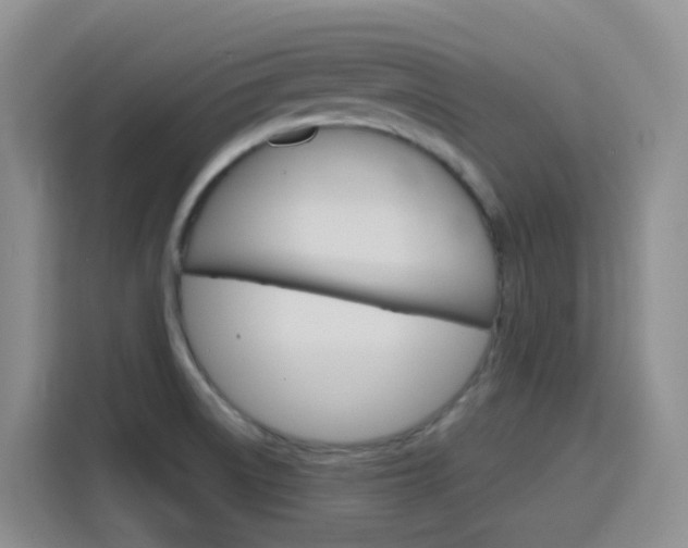 X0000116151522200911230941