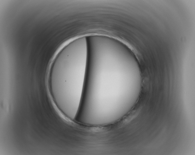 X0000116151523200911230941