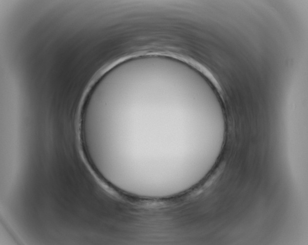 X0000116151525200911230941