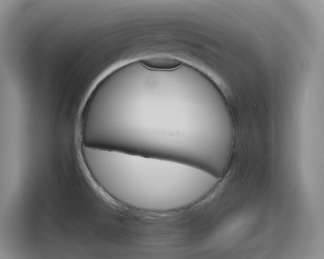 X0000116151526200911230941