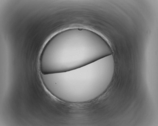 X0000116151527200911230941