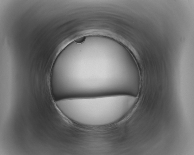X0000116151529200911230941