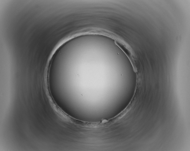 X0000116151530200911230941
