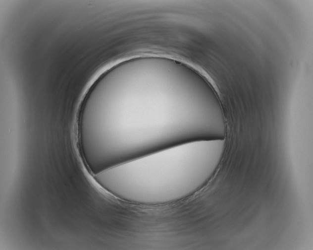 X0000116151531200911230941