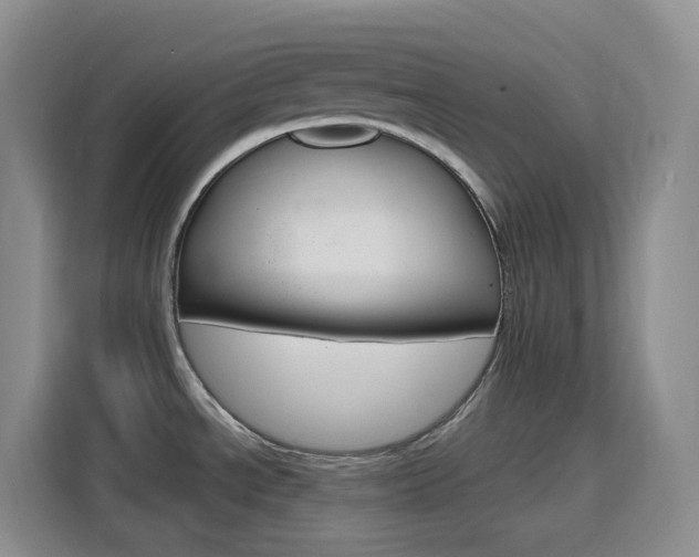 X0000116151534200911230941