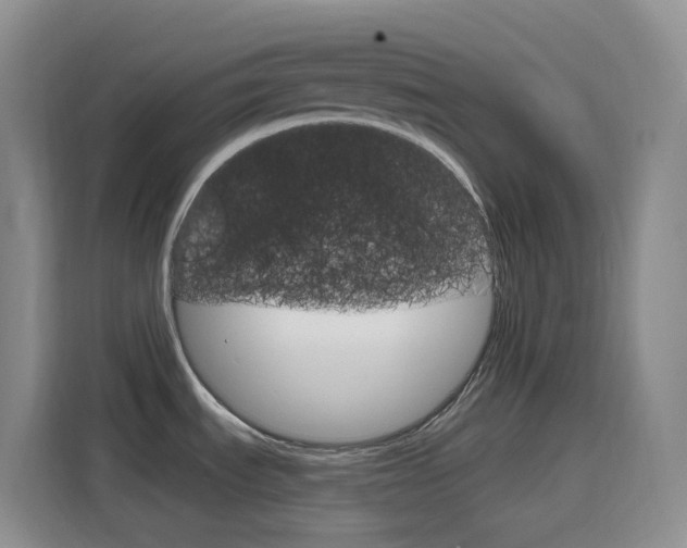 X0000116151535200911230941