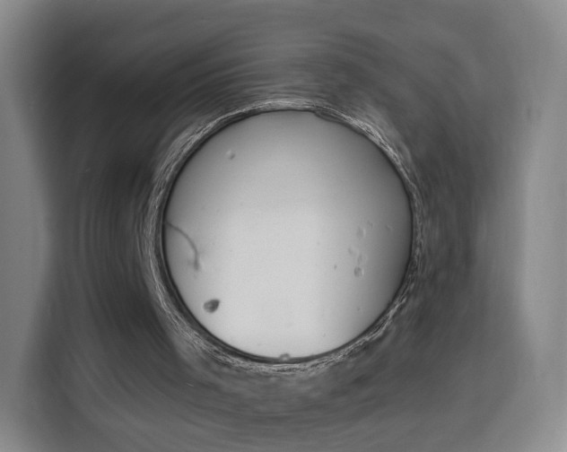 X0000116150001200911231341