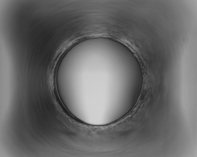 X0000116150002200911231341