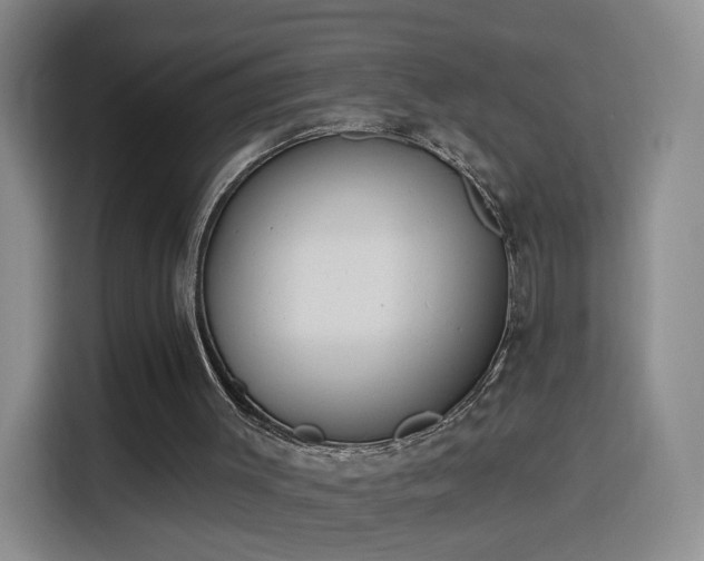 X0000116150003200911231340