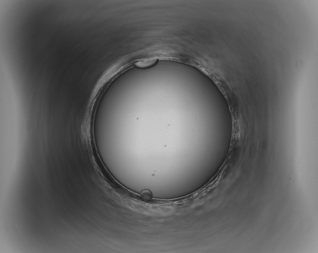 X0000116150004200911231340