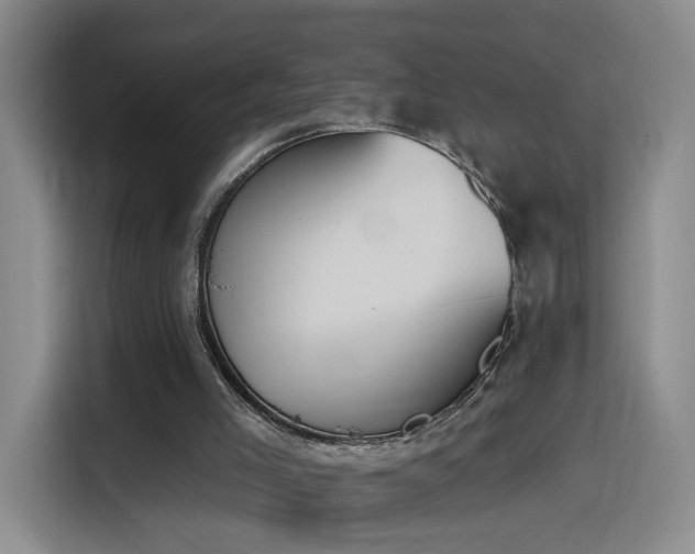 X0000116150005200911231340