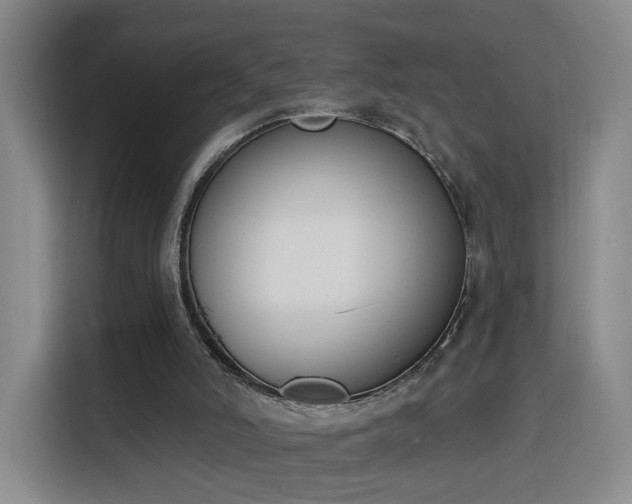 X0000116150006200911231340