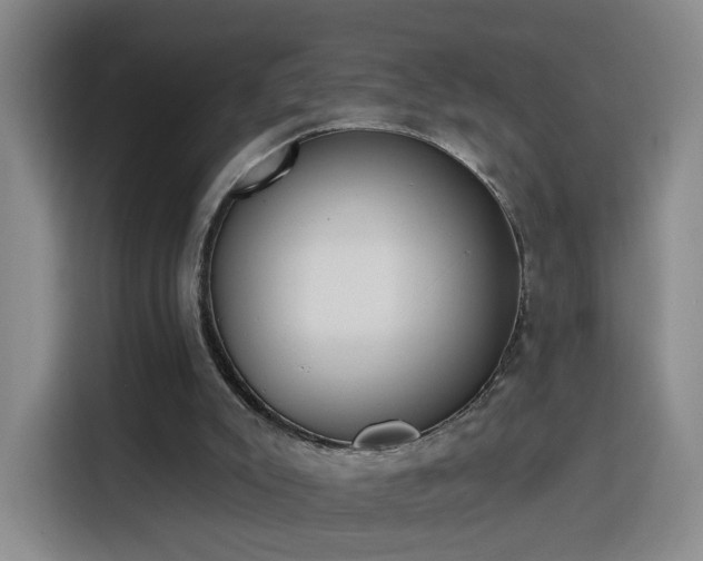 X0000116150007200911231340