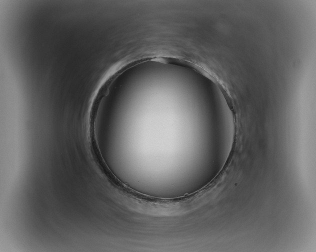 X0000116150008200911231340