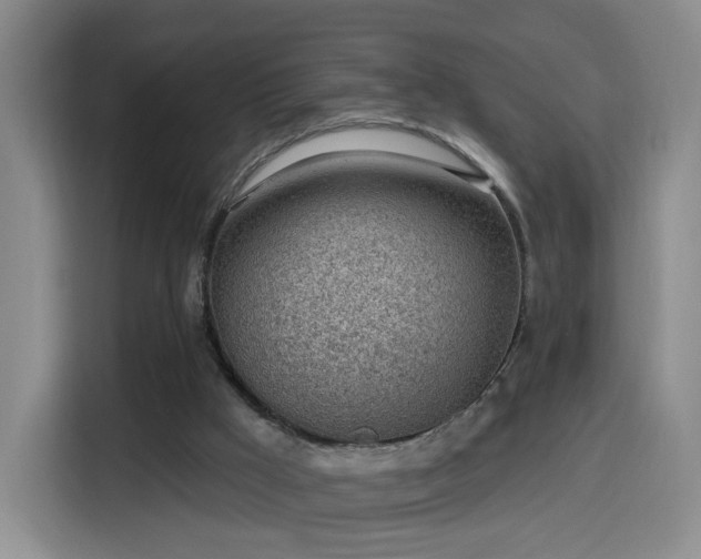 X0000116150009200911231340