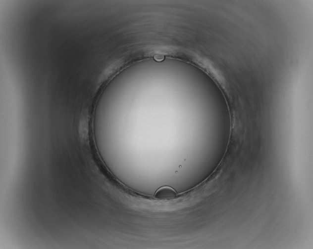 X0000116150010200911231340