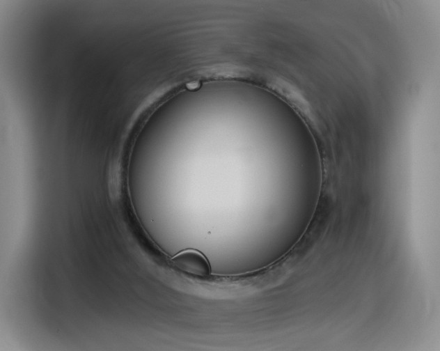 X0000116150012200911231340