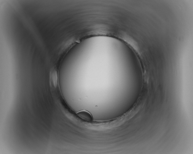 X0000116150013200911231340