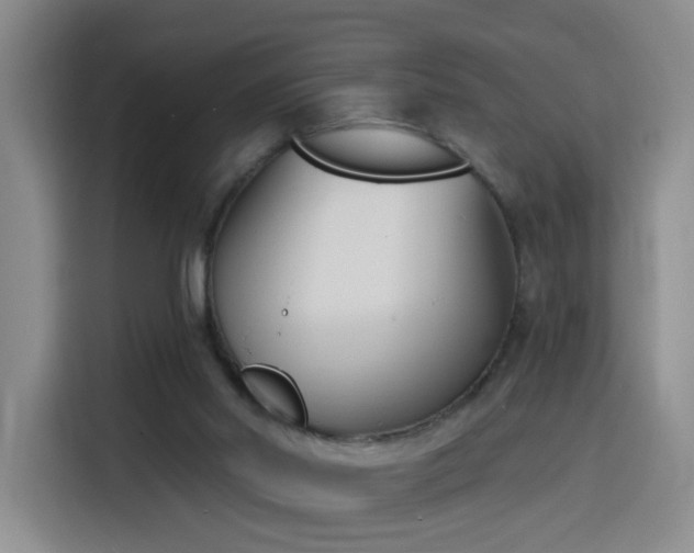 X0000116150014200911231340