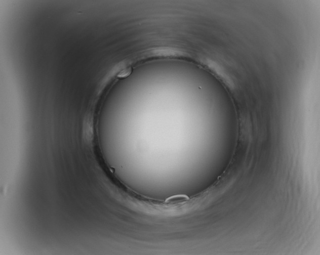 X0000116150015200911231340