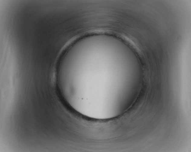 X0000116150016200911231340