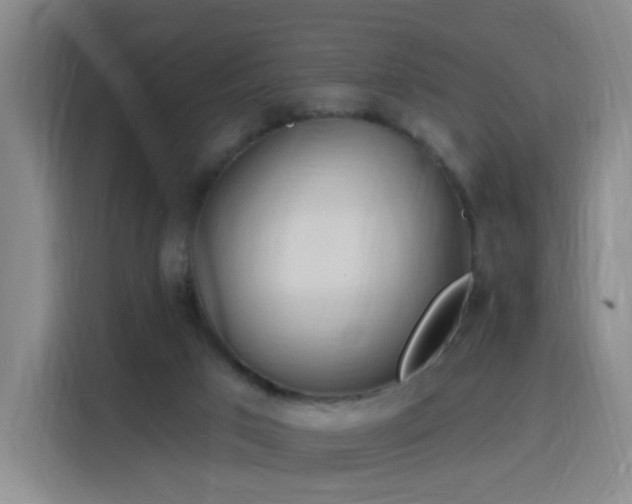 X0000116150017200911231340