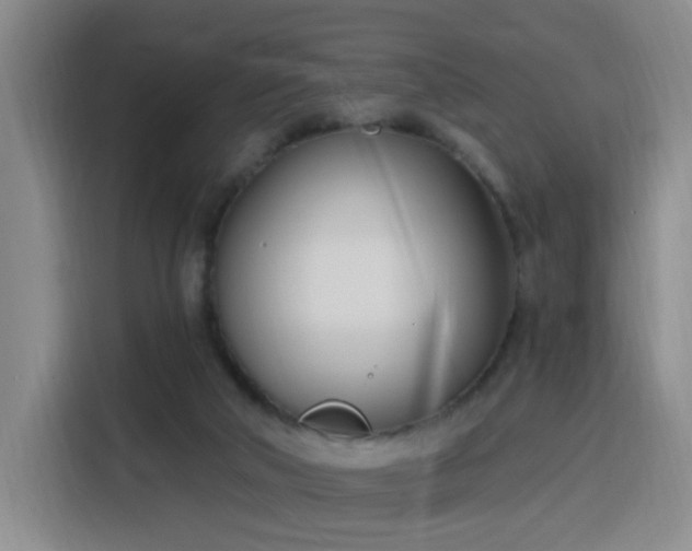 X0000116150018200911231340