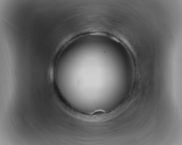 X0000116150019200911231340