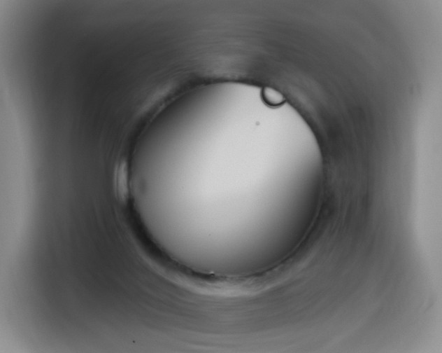 X0000116150020200911231340