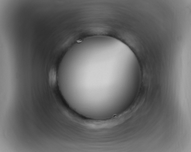 X0000116150021200911231340