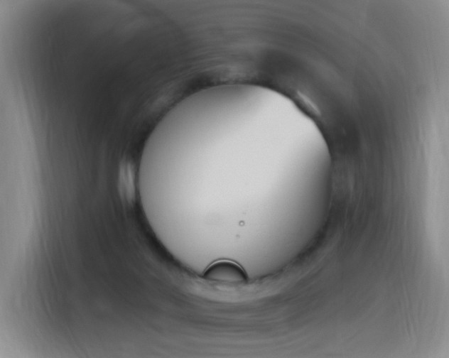 X0000116150022200911231340