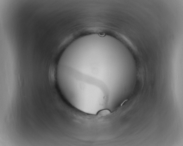 X0000116150023200911231340