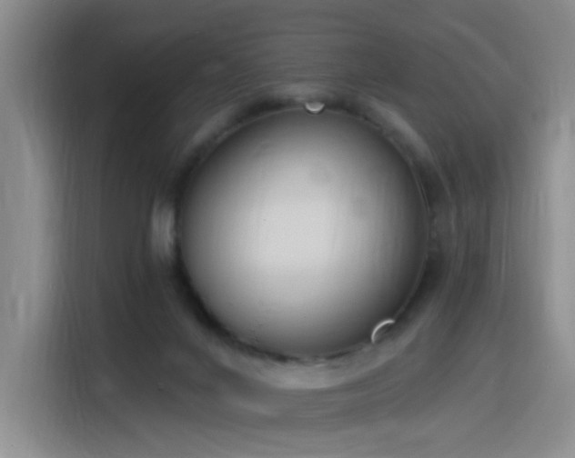 X0000116150024200911231340