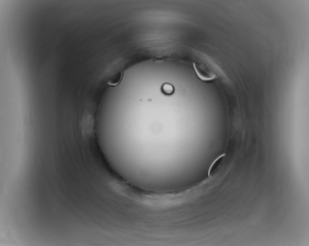 X0000116150025200911231340