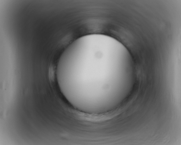 X0000116150026200911231340