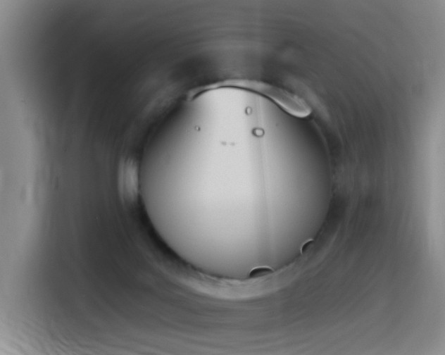 X0000116150027200911231340