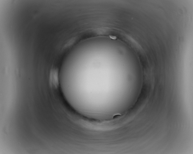 X0000116150028200911231340