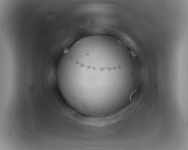 X0000116150029200911231340