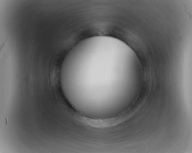 X0000116150030200911231340