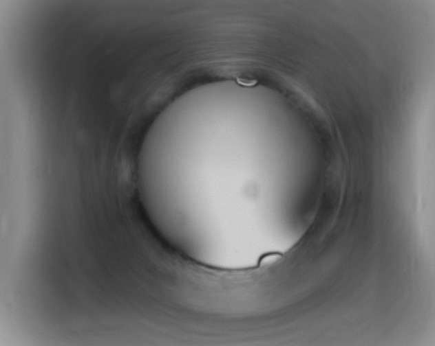 X0000116150031200911231340